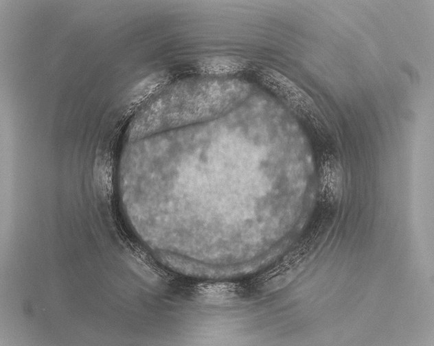 X0000115310452200912141140