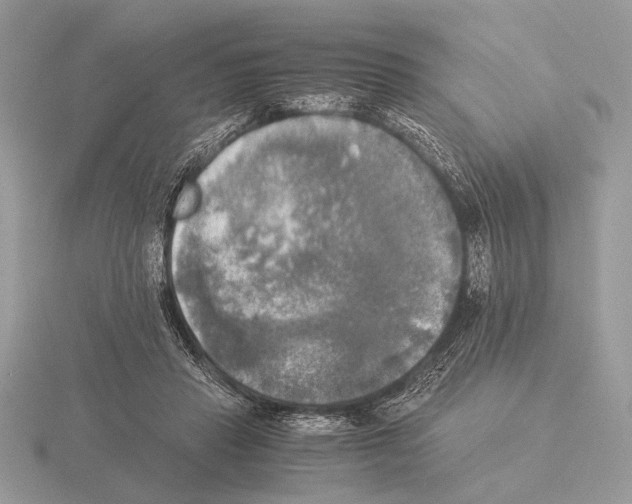 X0000115310453200912141140