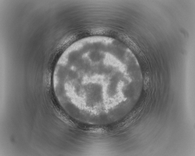 X0000115310454200912141140