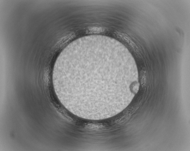 X0000115310455200912141140