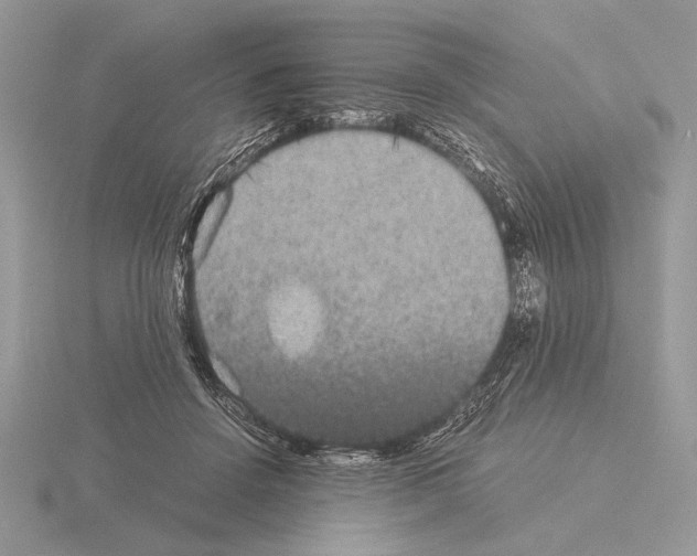 X0000115310456200912141140