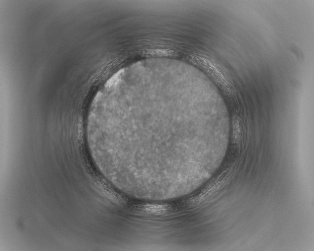 X0000115310457200912141140