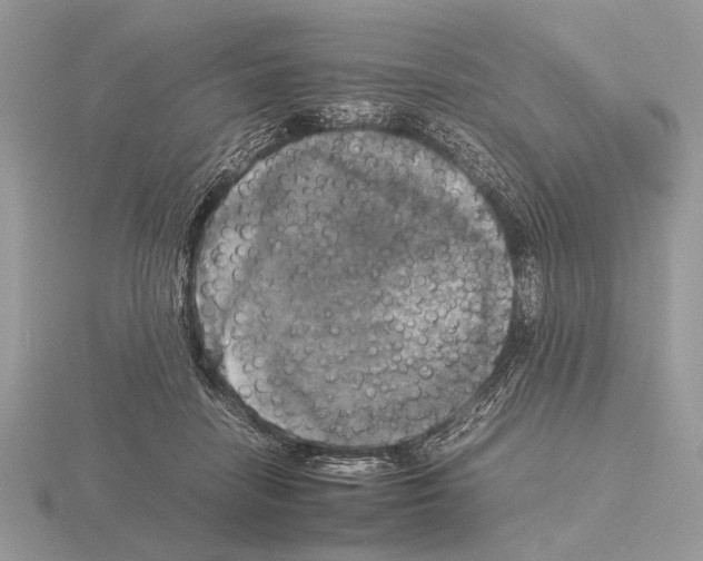 X0000115310458200912141140