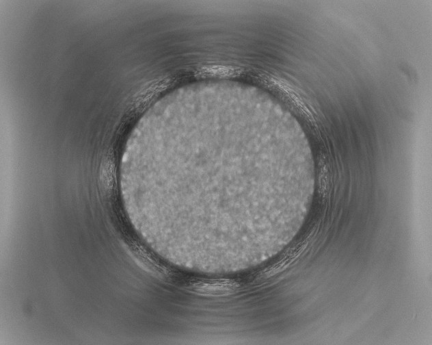 X0000115310459200912141140