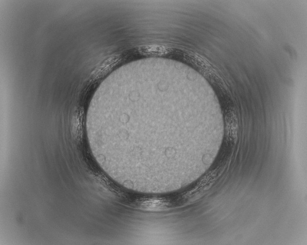 X0000115310460200912141140