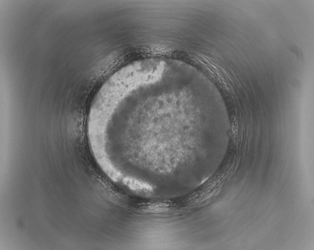 X0000115310462200912141141