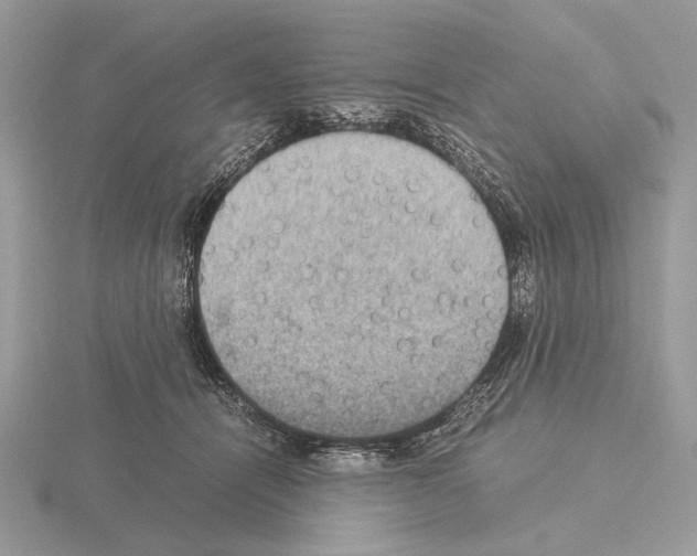 X0000115310464200912141141