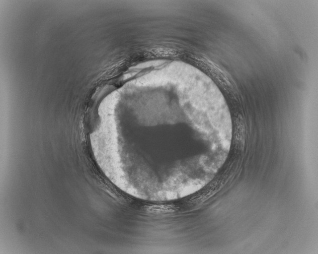 X0000115310465200912141141