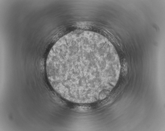 X0000115310466200912141141