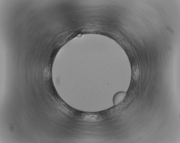 X0000115310471200912141141