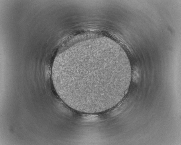 X0000115310476200912141141