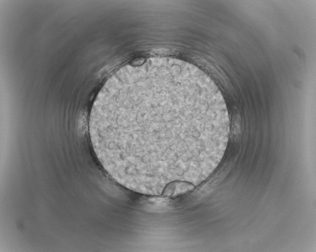 X0000115310478200912141141