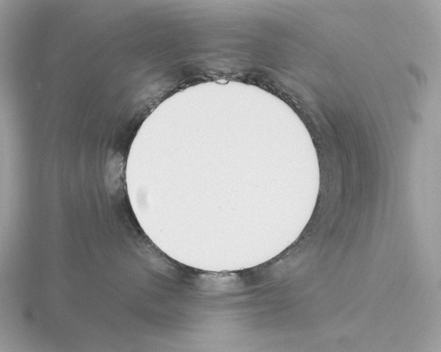 X0000115310480200912141141