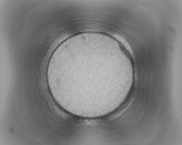 X0000115310481200912141140