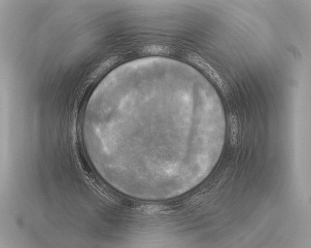 X0000115310482200912141140