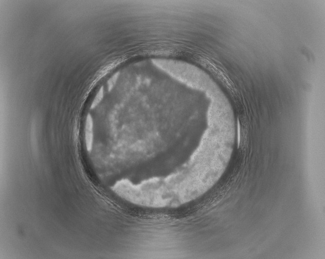 X0000115310483200912141140