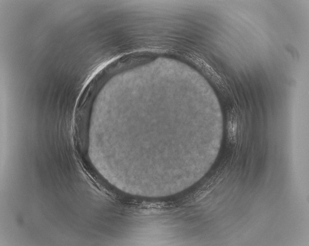 X0000115310484200912141140