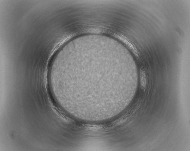 X0000115310486200912141140