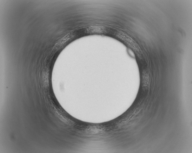 X0000115310489200912141140