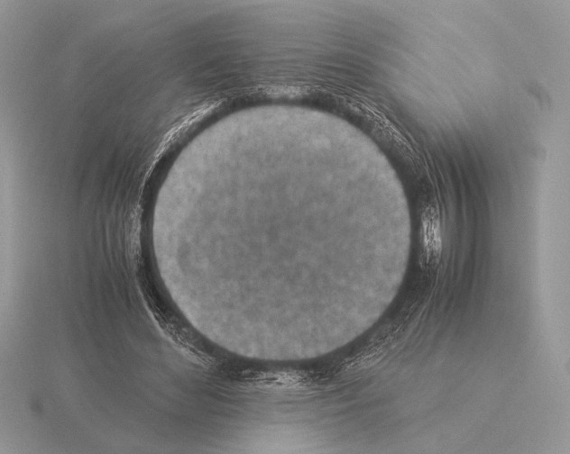 X0000115310492200912141140