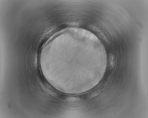 X0000115310494200912141140