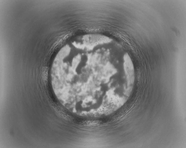 X0000115310495200912141140