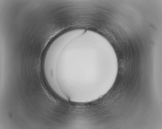 X0000115310496200912141140