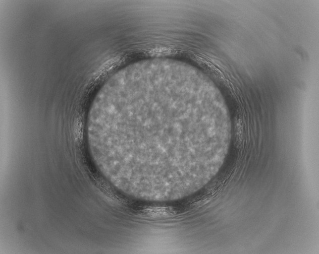 X0000115310499200912141140