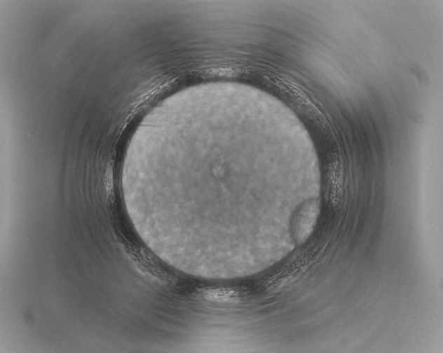 X0000115310500200912141140