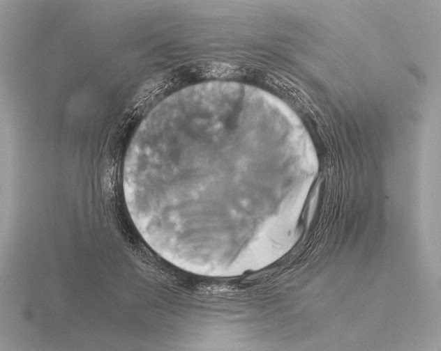 X0000115310503200912141140