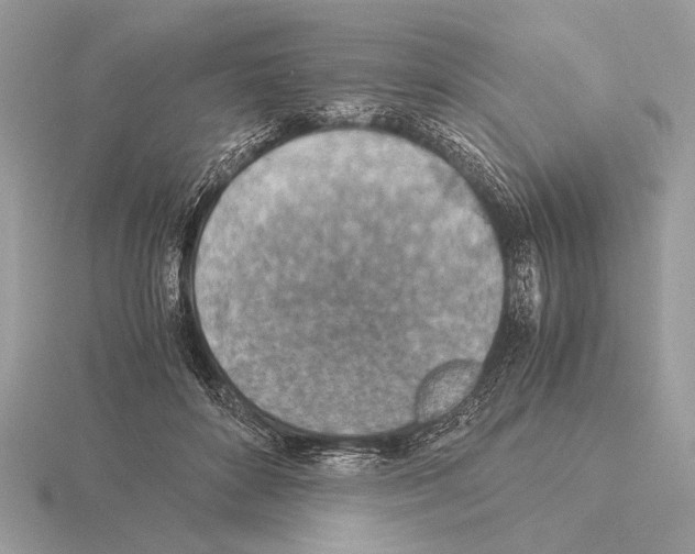 X0000115310504200912141140