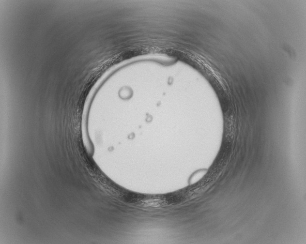 X0000115310505200912141140