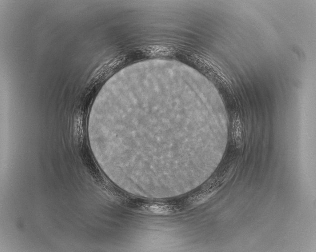 X0000115310506200912141140