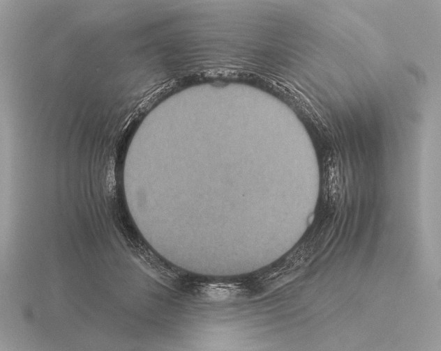 X0000115310508200912141140