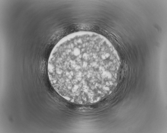 X0000115310511200912141140