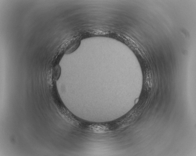 X0000115310512200912141140