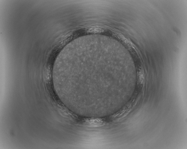 X0000115310517200912141140