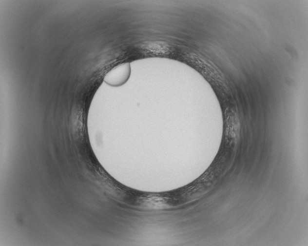 X0000115310518200912141140