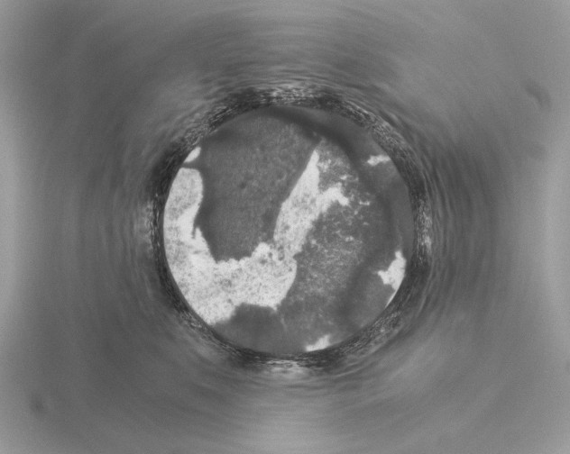 X0000115310519200912141140