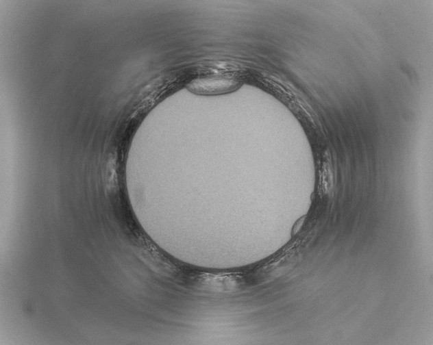 X0000115310520200912141140