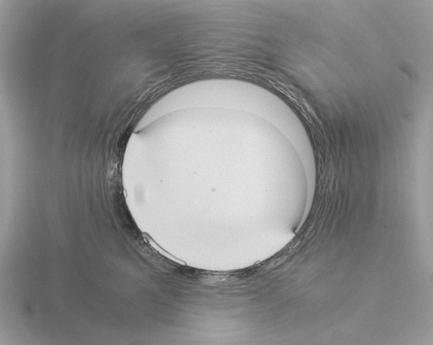 X0000115310521200912141140