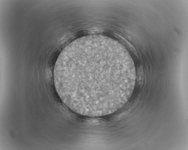 X0000115310523200912141140