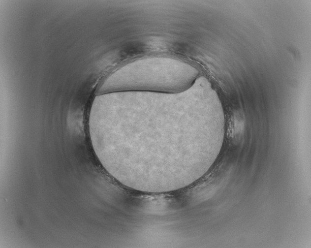 X0000115310524200912141140