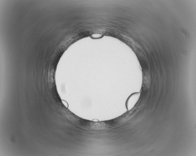 X0000115310525200912141140