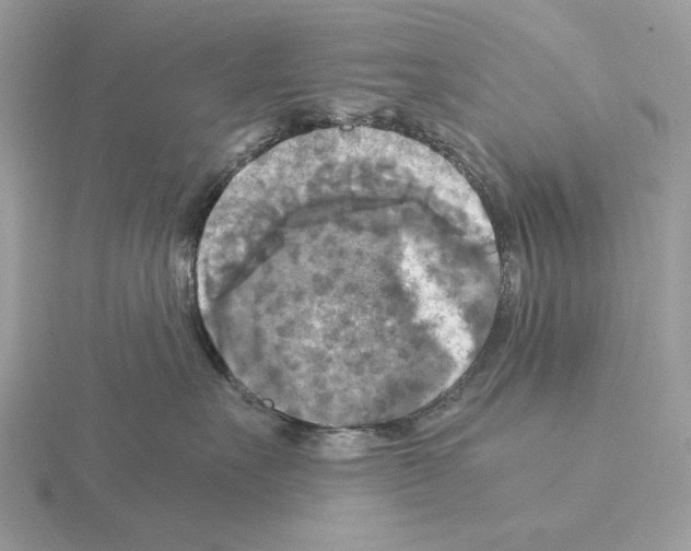 X0000115310527200912141140