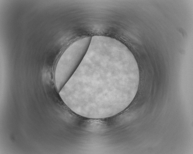 X0000115310528200912141140