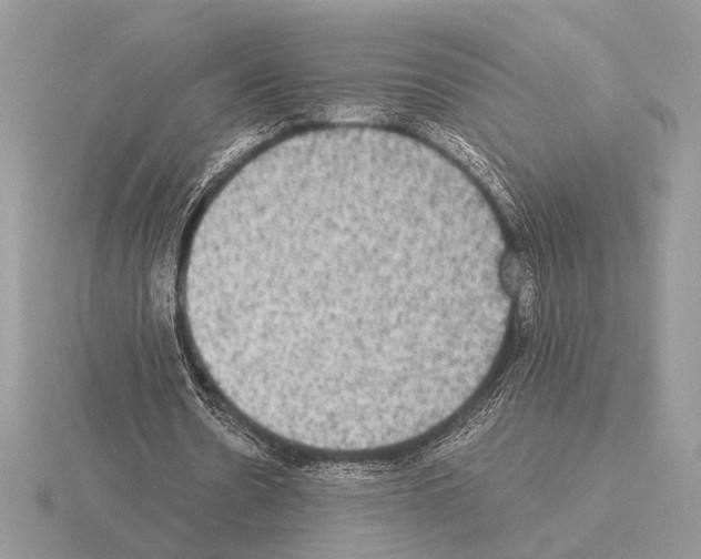 X0000115310530200912141139