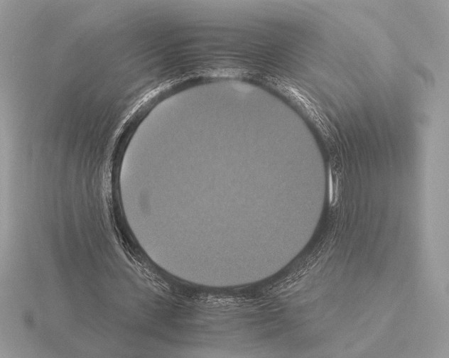 X0000115310531200912141139