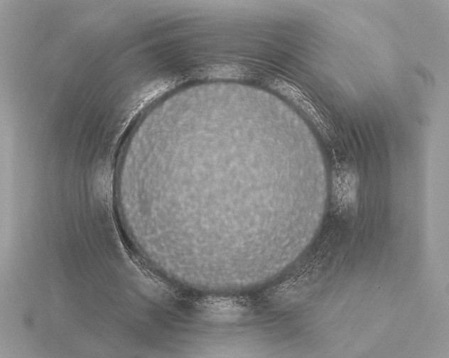 X0000115310534200912141139