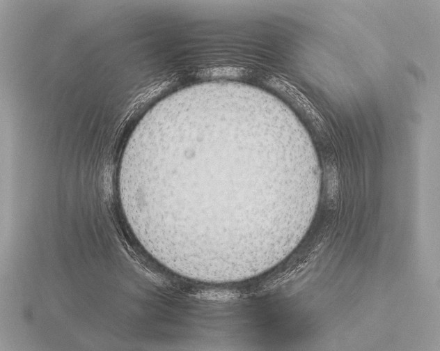 X0000115310537200912141139